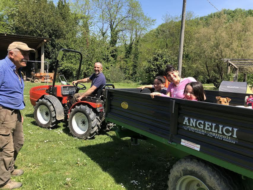 Aggiornamento spese di spedizione