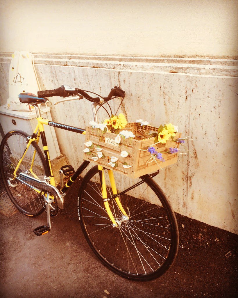 Spedizione gratuita per ordini di importo.....leggi l'articolo