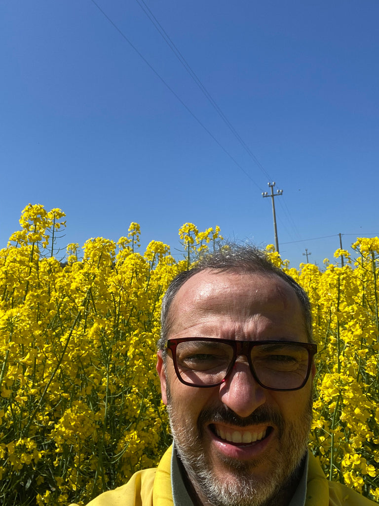 Le nostre api al lavoro sulla colza