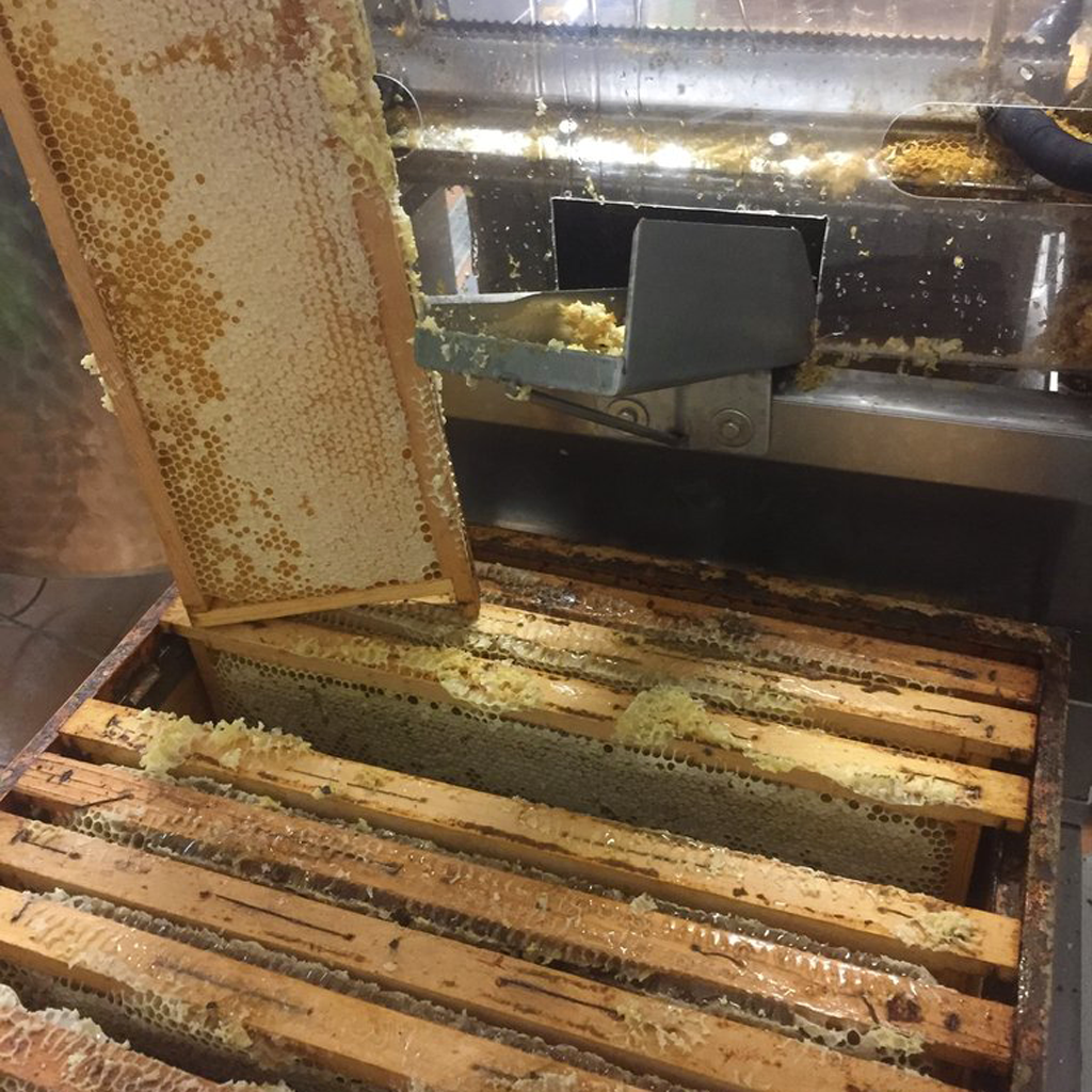 Prima smielatura 2019