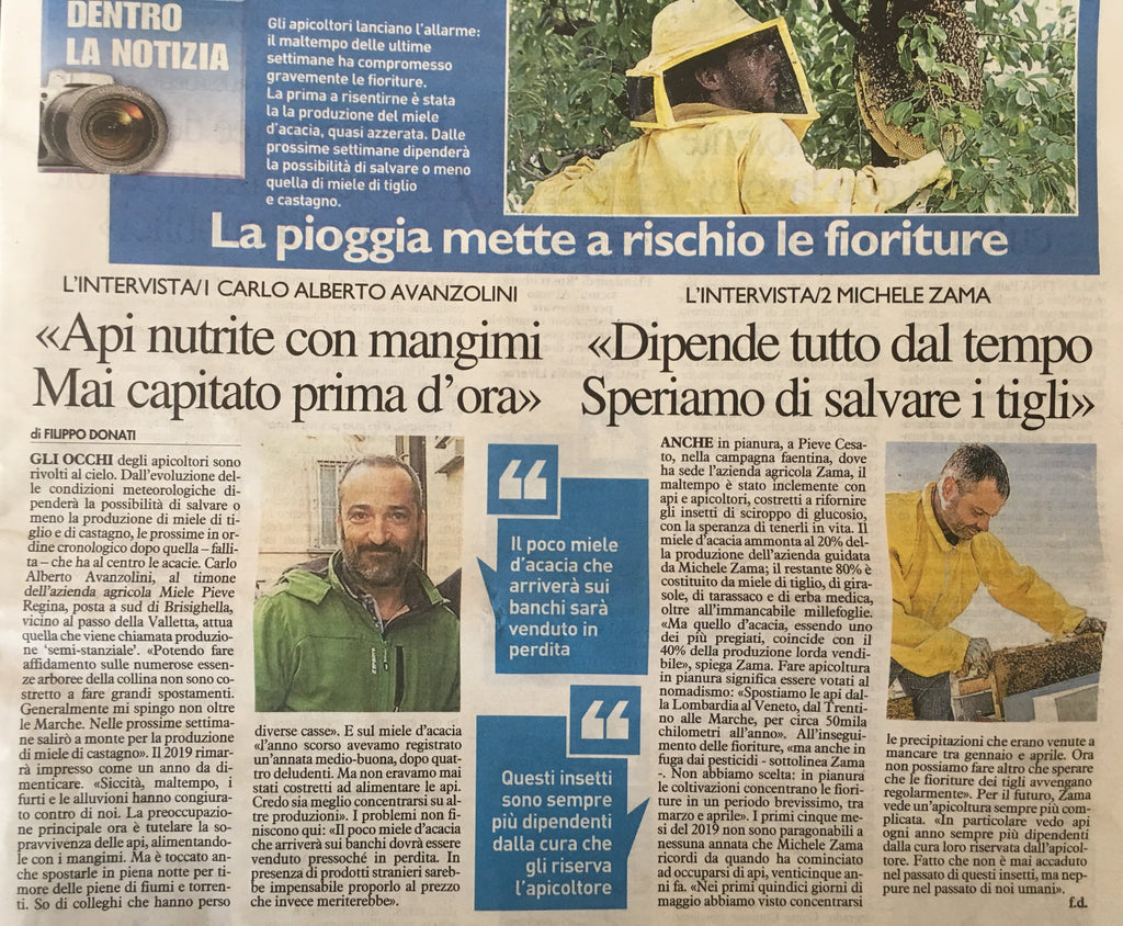 Previsioni negative sulla produzione acacia 2019