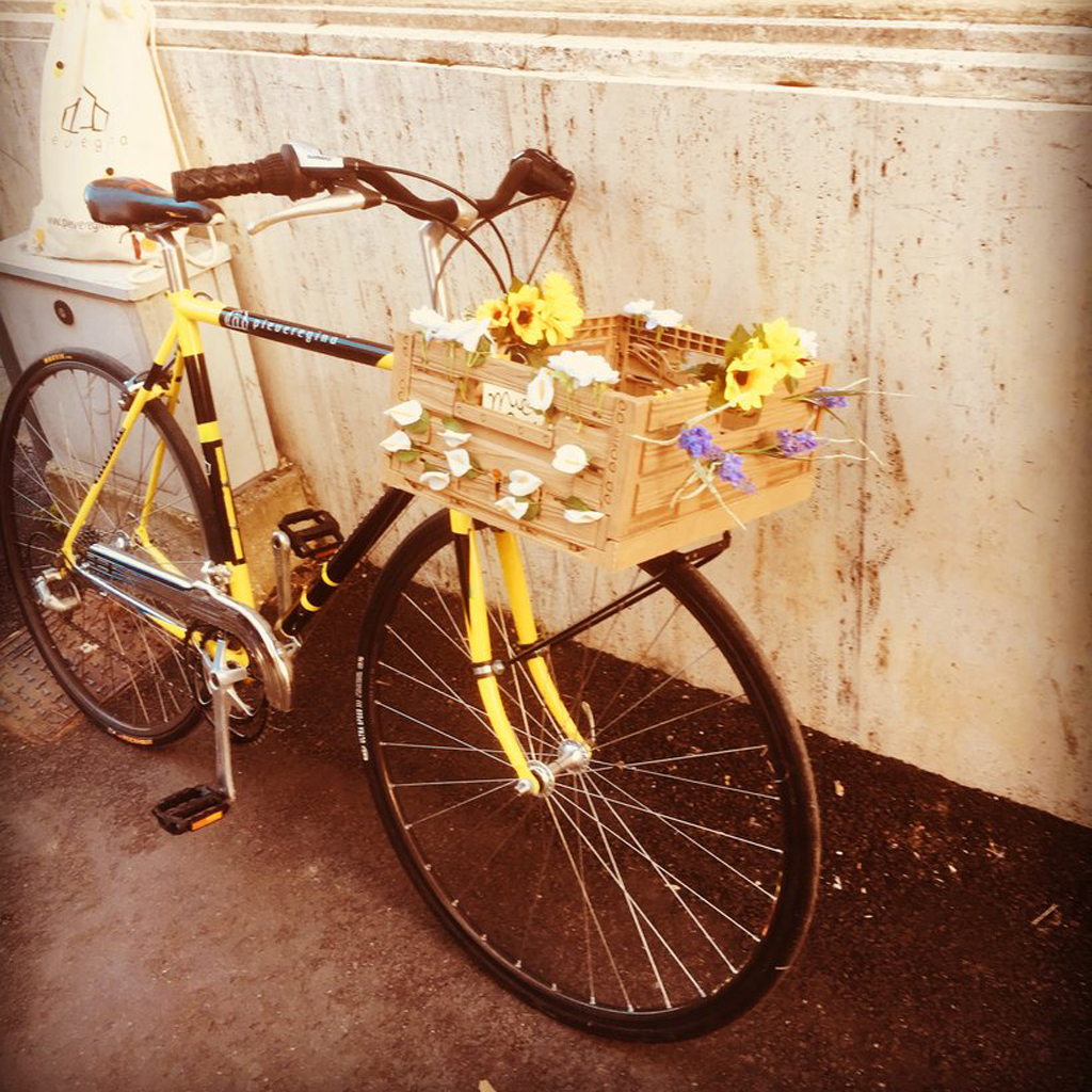 La BEE-CI di Pieveregina